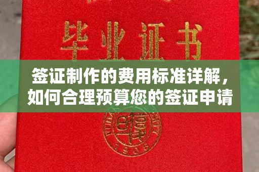 武威签证制作的费用标准详解，如何合理预算您的签证申请成本
